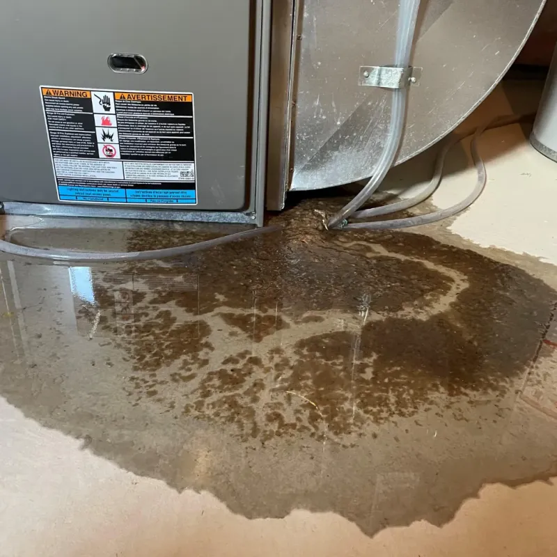Appliance Leak Cleanup in Lanai City, HI
