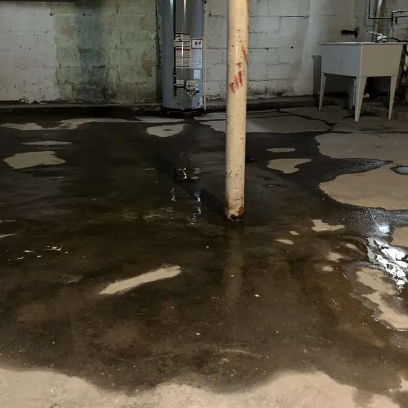 Emergency Water Extraction And Removal in Lanai City, HI